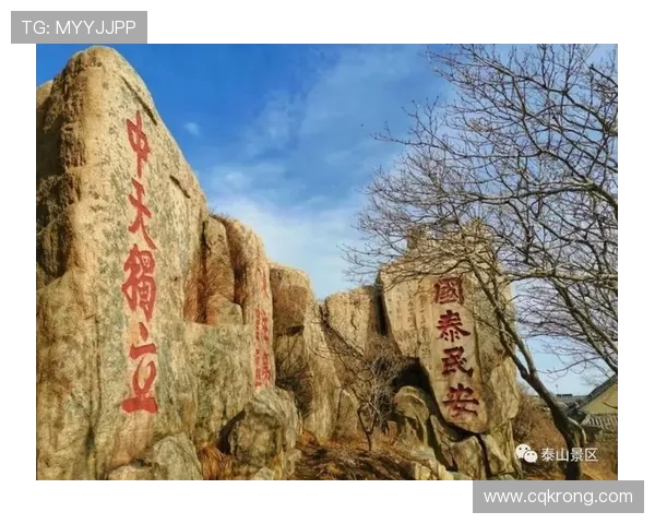 泰山文化遗产与生态旅游的融合发展探讨及其对区域经济的推动作用