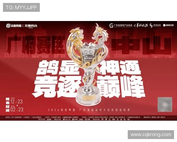 扬州华奥风云战队奋勇拼搏展现无限潜力荣登全国电竞赛场巅峰